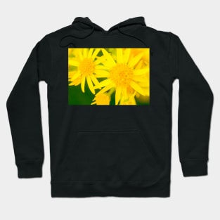 Yellow Flowers Hoodie